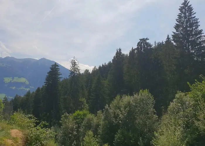 Colleen * フューゲンベルク